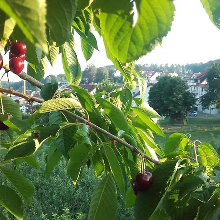 Weingut Bernhard * Daisendorf