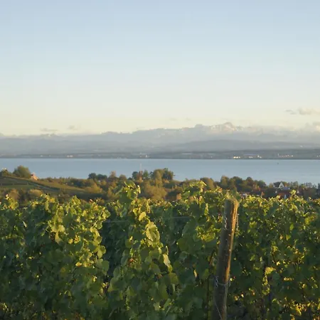 Weingut Bernhard Apartment